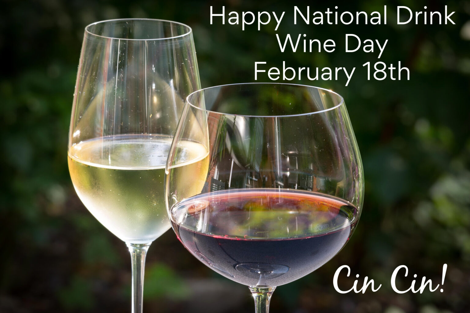 Happy National Drink Wine Day! • Italia Living