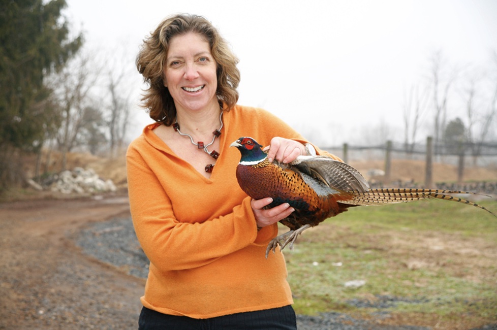 DArtagnan Founder Ariane Daguin